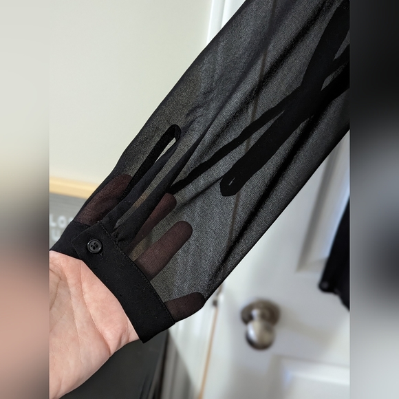 Sheer Black Blouse - Picture 4 of 7